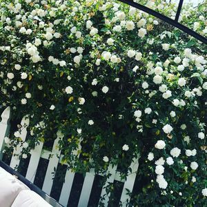 Meet your Posher, Terry